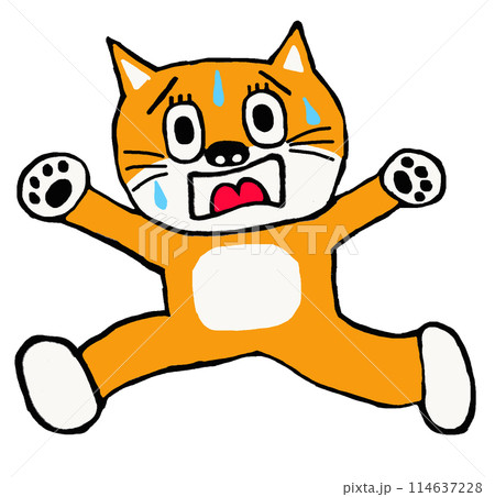 逃げる柴犬 逃げる柴犬 114637228