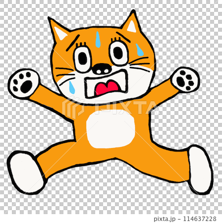 逃げる柴犬 逃げる柴犬 114637228