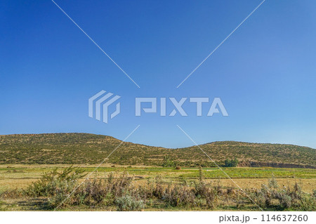 メケレ近郊の風景 メケレ近郊の風景 114637260