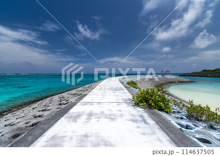 海へ続く道 114637505