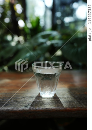 glass of water on wooden table with green lush background 114637586