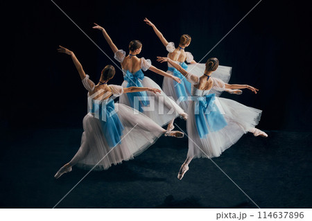 Dynamic portrait of graceful young female ballet dancers in synchronized motion, their white tutus creating fluid harmony. Dynamic portrait of graceful young female ballet dancers in synchronized motion, their white tutus creating fluid harmony. 114637896