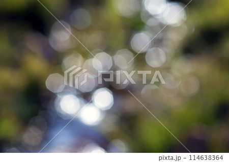 Abstract bokeh green circles background 114638364