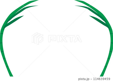 さとうきびイラスト さとうきびイラスト 114639459