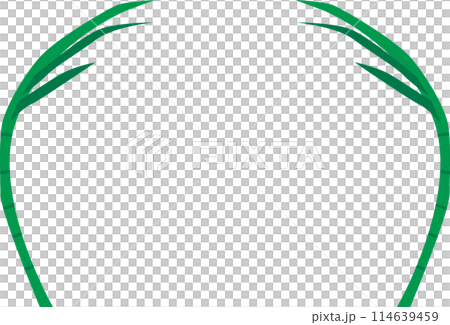 さとうきびイラスト さとうきびイラスト 114639459