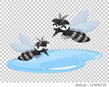 Illustration material of a mosquito thriving in a puddle 114640179