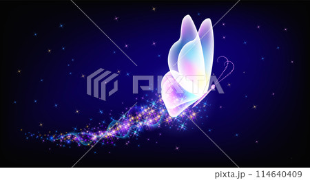 Flying delightful butterfly with sparkle and blazing trail flying in night sky among shiny glowing stars in cosmic space. Animal protection day concept. Flying delightful butterfly with sparkle and blazing trail flying in night sky among shiny glowing stars in cosmic space. Animal protection day concept. 114640409