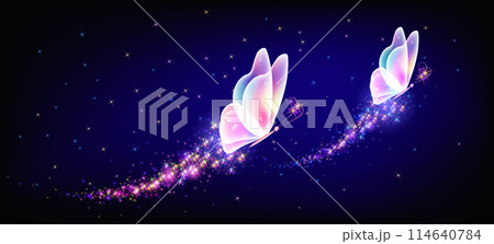 Flying delightful butterfly with sparkle and blazing trail flying in night sky among shiny glowing stars in cosmic space. Animal protection day concept. 114640784