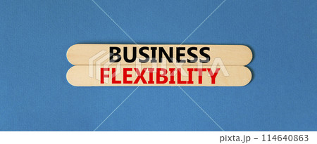 Business flexibility symbol. Concept words Business flexibility on beautiful wooden stick. Beautiful blue paper background. Business flexibility concept. Copy space. 114640863