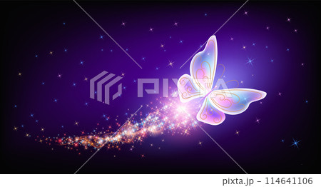 Flying delightful butterfly with sparkle and blazing trail flying in night sky among shiny glowing stars in cosmic space. Animal protection day concept. Flying delightful butterfly with sparkle and blazing trail flying in night sky among shiny glowing stars in cosmic space. Animal protection day concept. 114641106