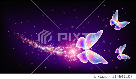 Flying delightful butterflies with sparkle and blazing trail flying in night sky among shiny glowing stars in cosmic space. Animal protection day concept. 114641107