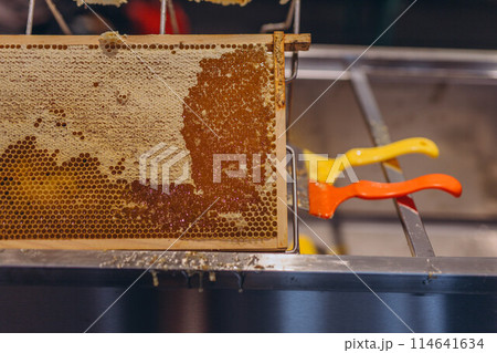 Using beekeeping tools for opening wax cells full of ready product. Using beekeeping tools for opening wax cells full of ready product. 114641634