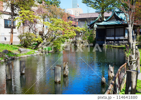 うとう沼に映える景観　善知鳥神社 114641880