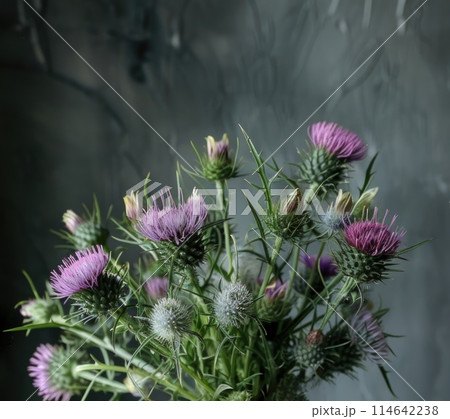 a woman holds a bouquet of thistles 114642238