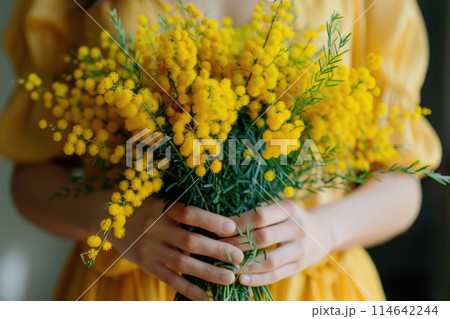 Gentle hands envelop a bright bouquet of mimosa flowers 114642244