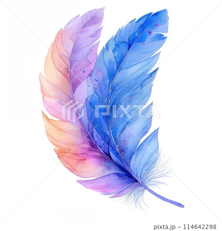 An elegant watercolor feather painted in a gradient An elegant watercolor feather painted in a gradient 114642298
