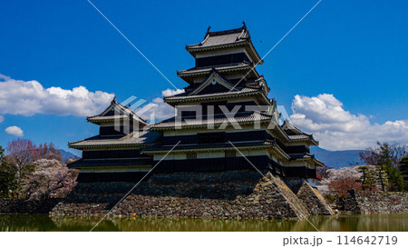 快晴の空と松本城　長野県松本市 114642719