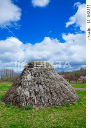 三内丸山遺跡 世界遺産 縄文時代のムラ 三内丸山遺跡 世界遺産 縄文時代のムラ 114642851