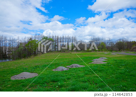 三内丸山遺跡　世界遺産　環状配石墓 114642853