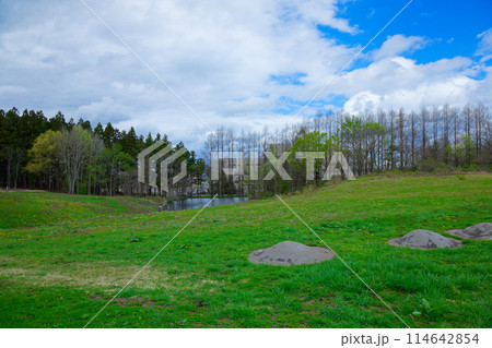 三内丸山遺跡　世界遺産　環状配石墓 114642854