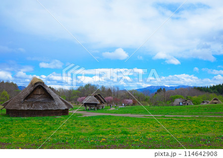 三内丸山遺跡　世界遺産　縄文時代のムラ 114642908