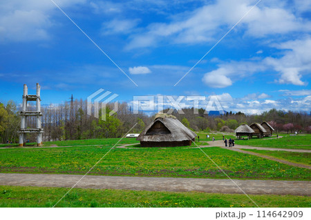 三内丸山遺跡　世界遺産　縄文時代のムラ 114642909