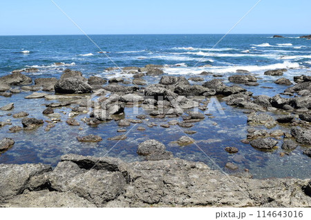 加茂海岸周辺の風景 山形県庄内浜 114643016