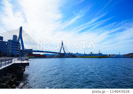 青森ベイブリッジと八甲田丸 114643026