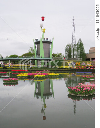 富山　砺波　チューリップ祭 114643096