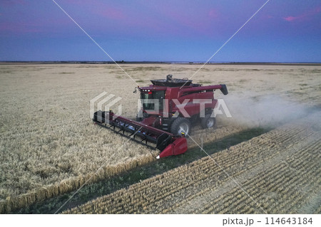 Harvester machine, harvesting in the Argentine countryside, Buenos Aires province, Argentina. Harvester machine, harvesting in the Argentine countryside, Buenos Aires province, Argentina. 114643184