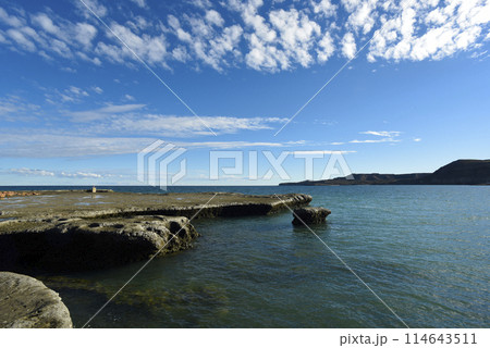Coastal landscape with cliffs in Peninsula Valdes, World Heritage Site, Patagonia Argentina 114643511