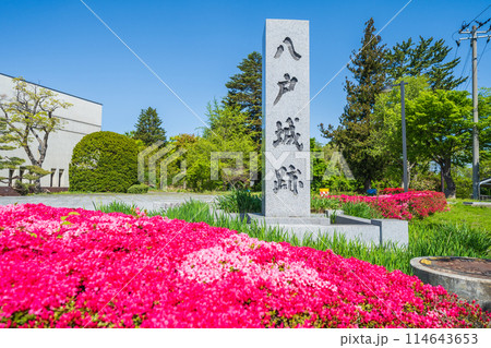 「青森県」八戸城本丸跡の石碑(三八城公園/青森県八戸市内丸) 「青森県」八戸城本丸跡の石碑(三八城公園/青森県八戸市内丸) 114643653