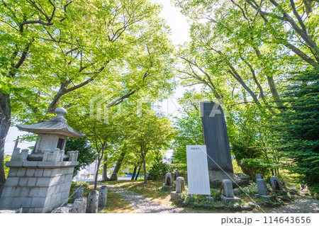 「青森県」八戸城本丸跡の石碑(三八城公園/青森県八戸市内丸) 「青森県」八戸城本丸跡の石碑(三八城公園/青森県八戸市内丸) 114643656