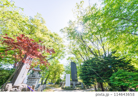 「青森県」八戸城本丸跡の石碑(三八城公園/青森県八戸市内丸) 「青森県」八戸城本丸跡の石碑(三八城公園/青森県八戸市内丸) 114643658