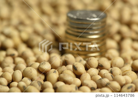 Dollars banknotes and coins and soy beans,oleaginous commoditi value concept. 114643786