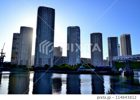 東京都　東雲の高層タワーマンション群の風景 114643812