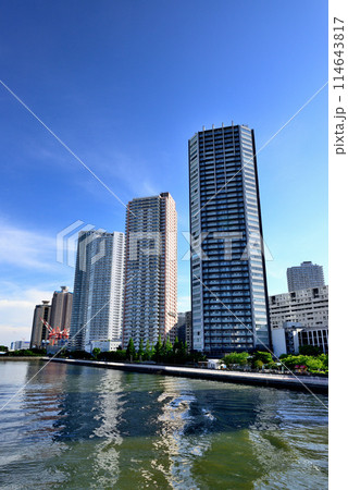 東京都　東雲の高層タワーマンション群の風景 114643817