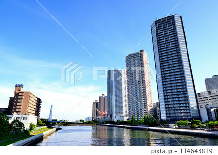 東京都 東雲の高層タワーマンション群の風景 東京都 東雲の高層タワーマンション群の風景 114643819