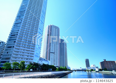 東京都　東雲の高層タワーマンション群の風景 114643825
