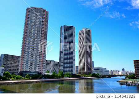 東京都　東雲の高層タワーマンション群の風景 114643828