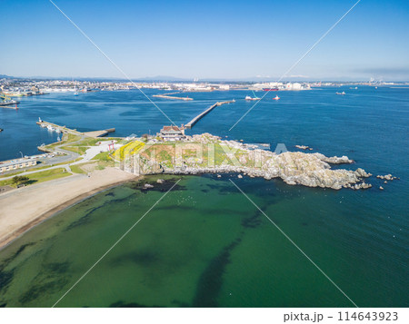 「青森県」ドローンで蕪島付近を空撮 種差海岸 「青森県」ドローンで蕪島付近を空撮 種差海岸 114643923