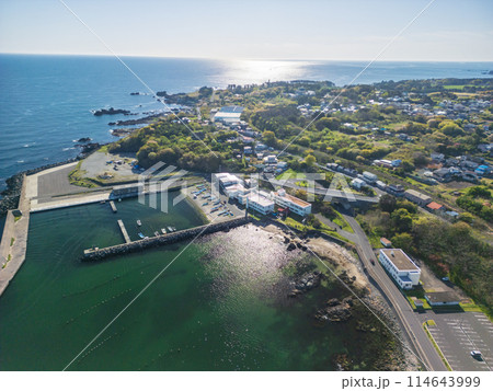 「青森県」ドローンで蕪島付近を空撮　種差海岸 114643999