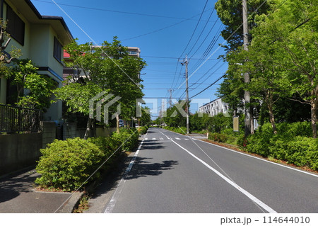 青葉若葉の街並み 青葉若葉の街並み 114644010