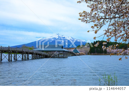 鶴の舞橋と岩木山 満開の桜 鶴の舞橋と岩木山 満開の桜 114644057