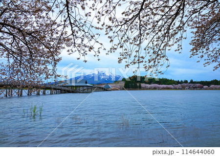 鶴の舞橋と岩木山 満開の桜 鶴の舞橋と岩木山 満開の桜 114644060
