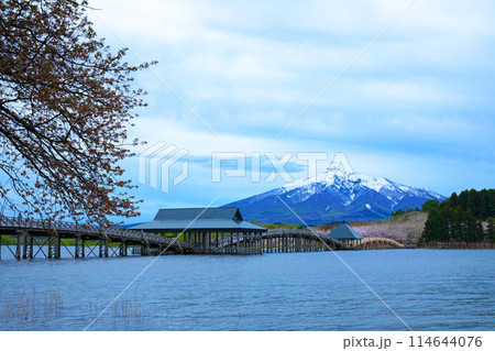 鶴の舞橋と岩木山 満開の桜 鶴の舞橋と岩木山 満開の桜 114644076