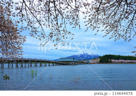鶴の舞橋と岩木山 満開の桜 鶴の舞橋と岩木山 満開の桜 114644078