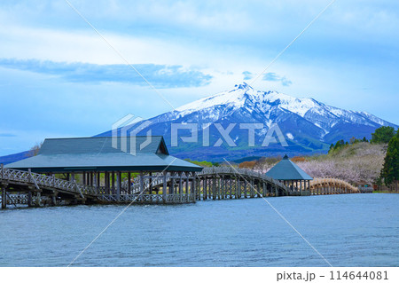 鶴の舞橋と岩木山 満開の桜 鶴の舞橋と岩木山 満開の桜 114644081