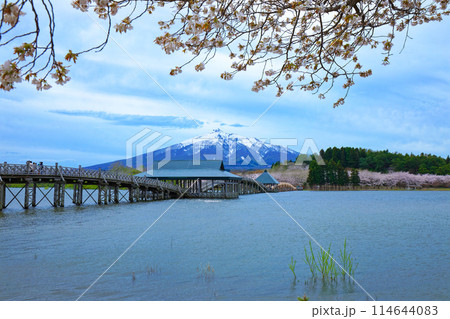 鶴の舞橋と岩木山 満開の桜 鶴の舞橋と岩木山 満開の桜 114644083