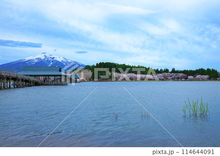 鶴の舞橋と岩木山 満開の桜 鶴の舞橋と岩木山 満開の桜 114644091